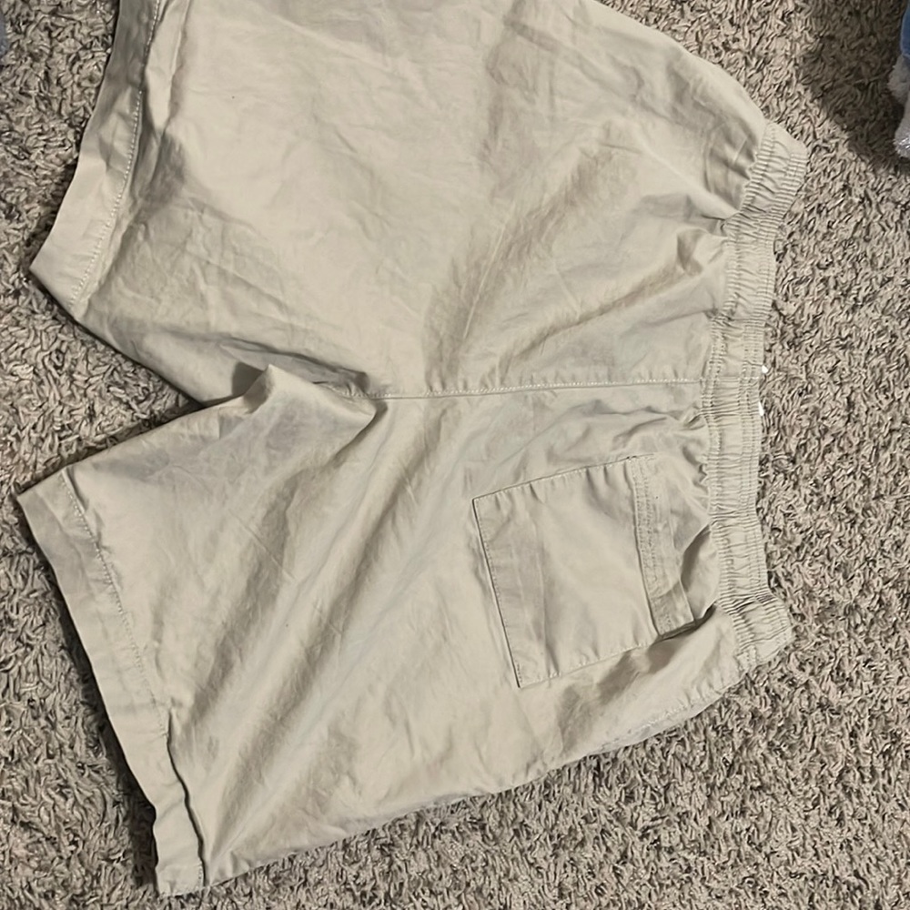 Mens lot (all sz Med) 3 pairs of shorts, 1 shirt